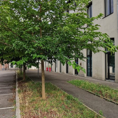 Parking et entrée Pôle Santé